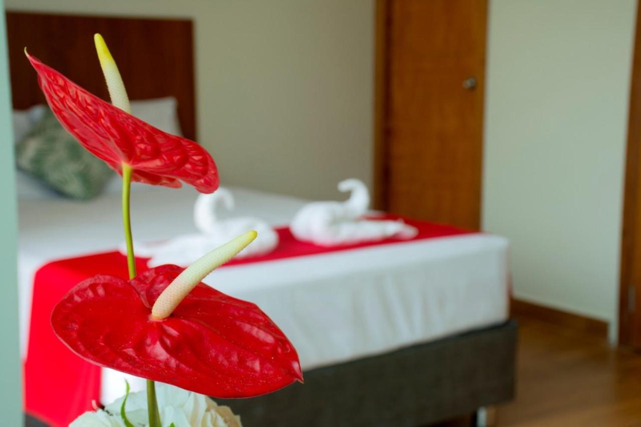 Hotel La Palmera De Oro Tarapoto Esterno foto